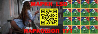 apvp Обь