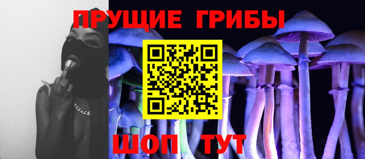 Сорочинск  Псилоцибиновые грибы MAGIC MUSHROOMS  Вход с VPN  Псилоцибиновые грибы Psilocybe 